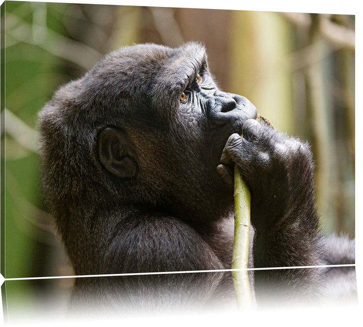 Pixxprint Gorilla isst auf Leinwand, XXL riesige Bilder fertig gerahmt mit Keilrahmen, Kunstdruck au