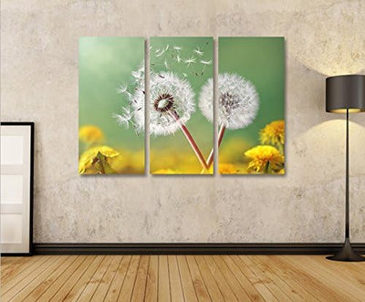 islandburner Bild Bilder auf Leinwand Pusteblume V2 Natur Blumen 3p XXL Poster Leinwandbild Wandbild