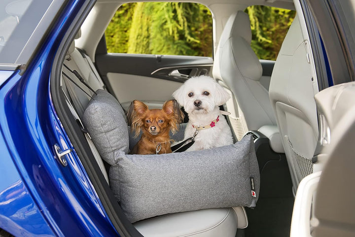 Luxuriös Hunde Auto Sitz | Autositz für Hunde, Rückbank, Vordersitz | Universal Waschbar Hundeautosi