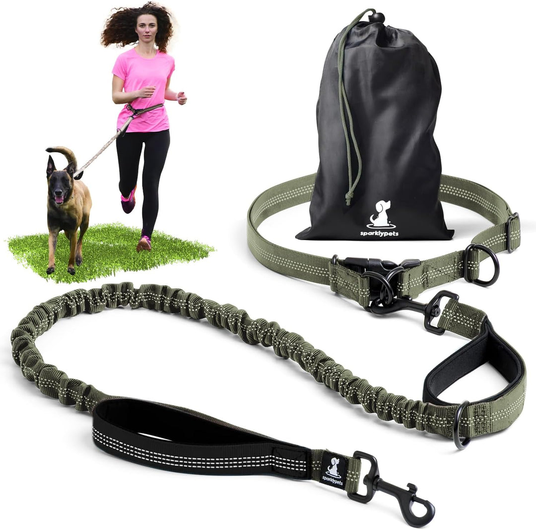 Joggingleine für Hunde zum Laufen, Joggen, Wandern | 2 in 1 Joggingleine und Normale Hundeleine für