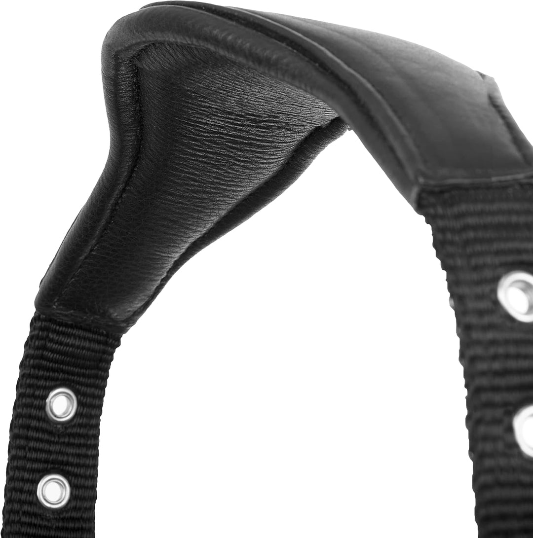 LeMieux Capella Headcollar Halfter Cob Schwarz, Cob Schwarz