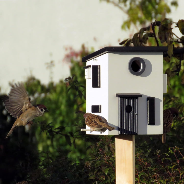 Wildlife Garden WG108 Multiholk Bauhaus - Der Kombinierte Vogelfutterhaus und Nistkasten/Vogelhaus a