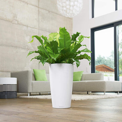 LECHUZA RONDO Premium 32 weiss hochglanz 15780 32x32x56 cm Weiss Hochglanz, 32x32x56 cm Weiss Hochgl