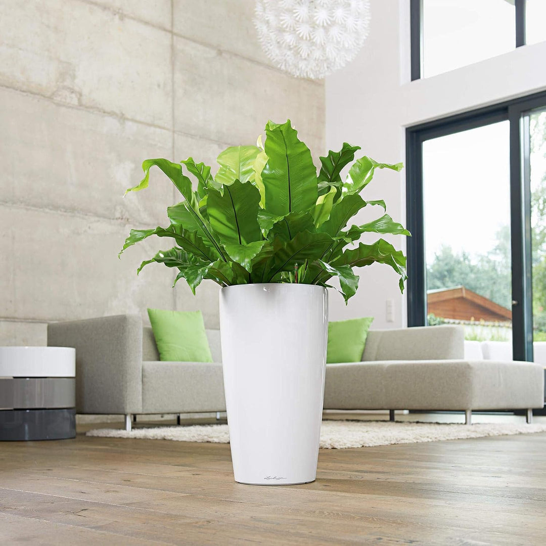 LECHUZA RONDO Premium 32 anthrazit metallic 15783 32x32x56 cm Anthrazit Metallic, 32x32x56 cm Anthra