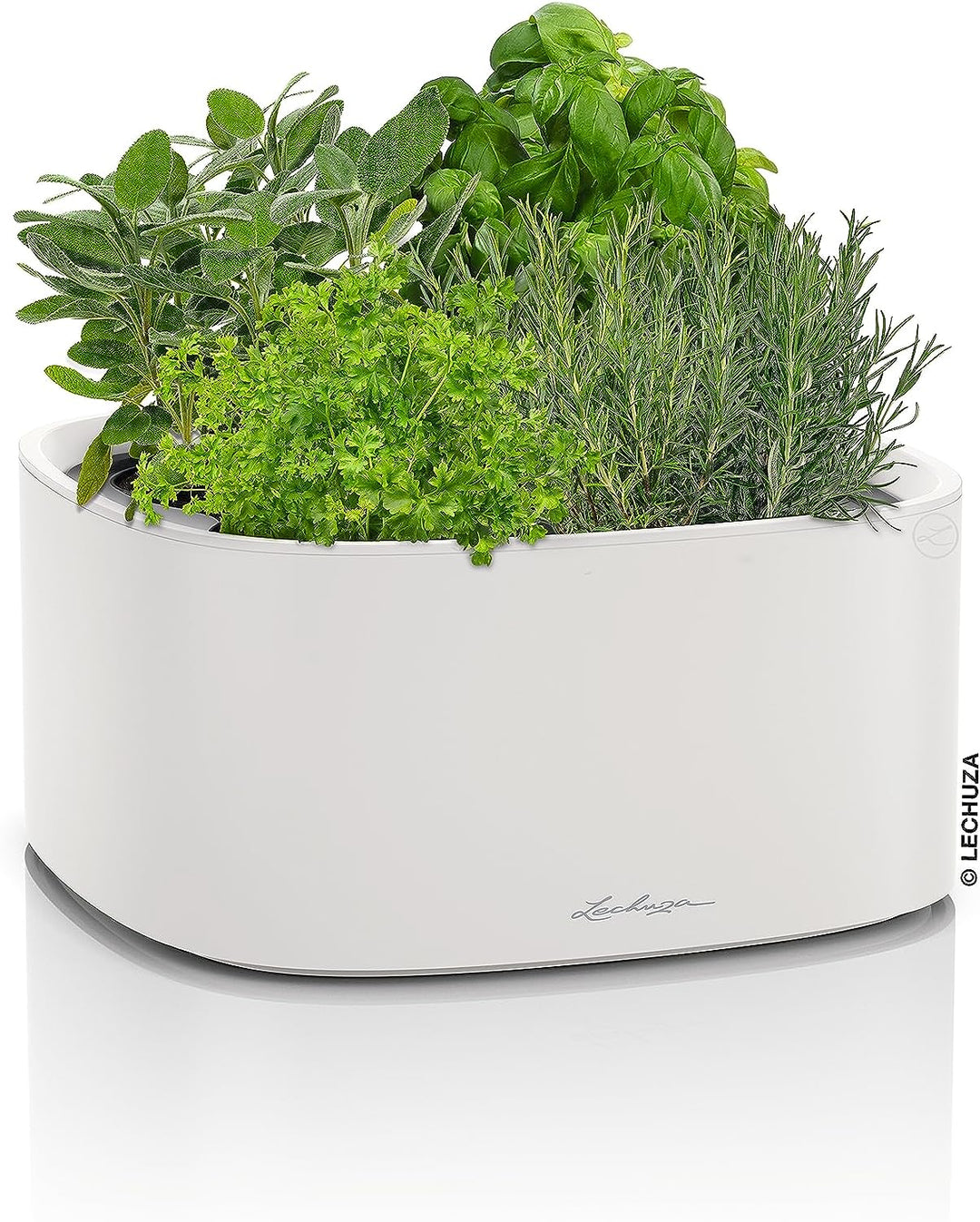 LECHUZA  PILA Color Stick-System lichtgrau 15944 35x35x16,6 cm Lichtgrau, 35x35x16,6 cm Lichtgrau