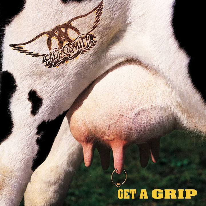 Get a Grip (2 Lp) [Vinyl LP], Vinyl