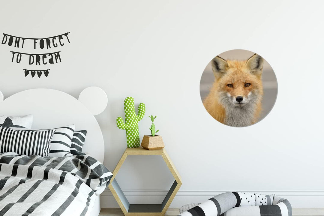 Wandbild Rund Wanddeko Deko Wohnzimmer Bilder 30x30 cm Fuchs - Makro - Rot 30.00 x 30.00 cms, 30.00