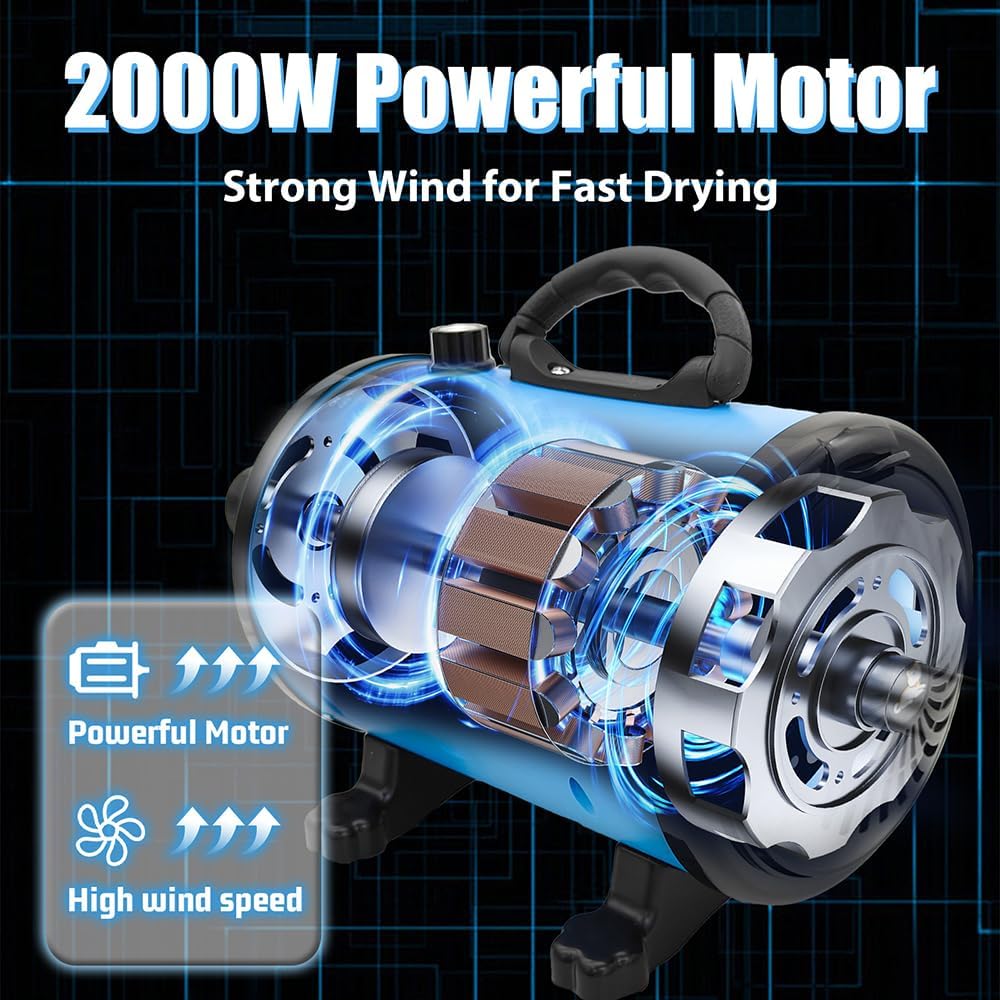 Hundefön Blower Einstellbare Geschwindigkeit 3200W Motor mit 4 verschiedenen Düsen und Schlauch Prof