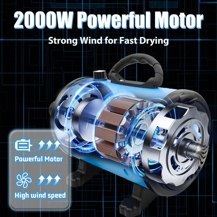 Hundefön Blower Einstellbare Geschwindigkeit 3200W Motor mit 4 verschiedenen Düsen und Schlauch Prof