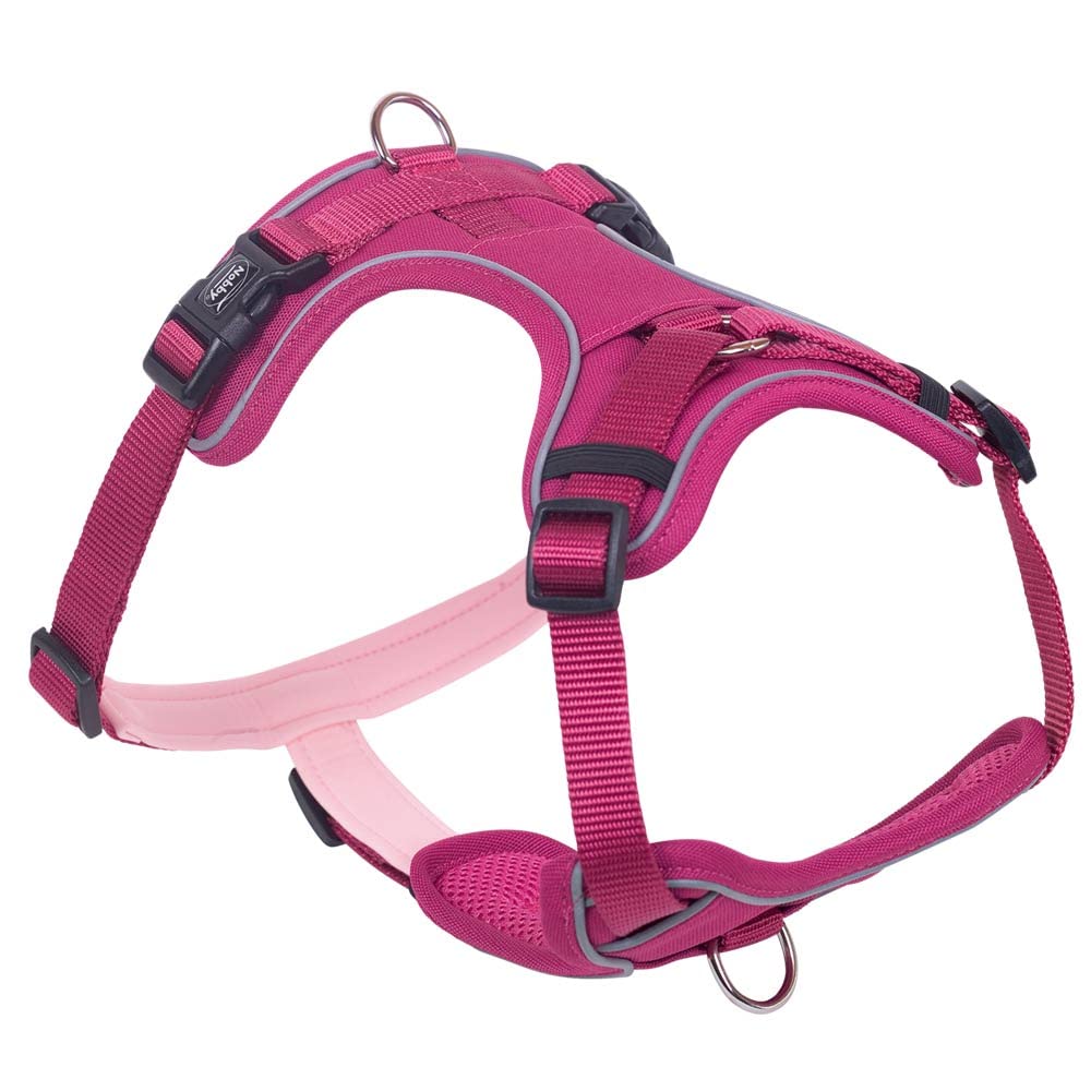 Nobby Komfort Geschirr MAILO, himbeere, M: Brust: 35-50 cm, Bauch: 60-75 cm, B: 20 mm, 1 Stück