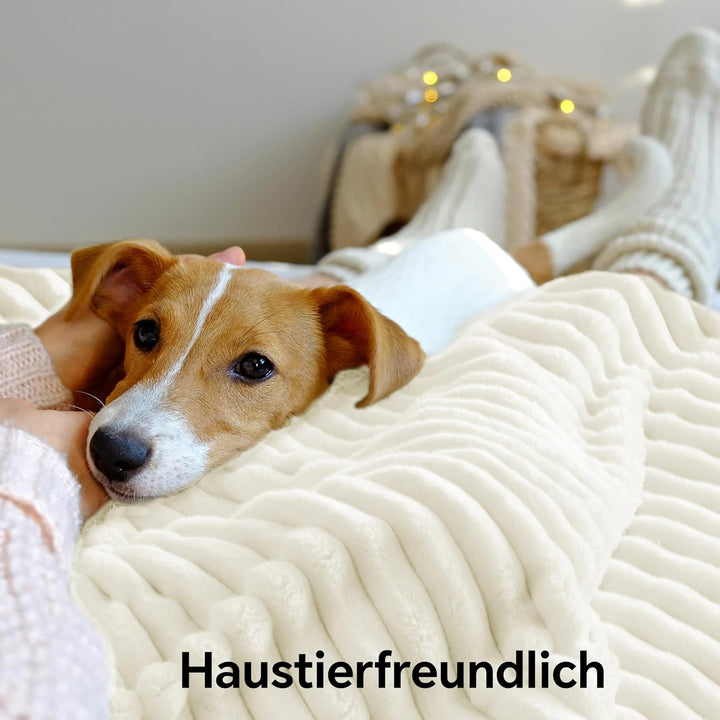 BEDELITE Kuscheldecke Flauschig Decke Klein - Dicke Sherpa Decken Cremeweiss 125x150 für Sofa, warme