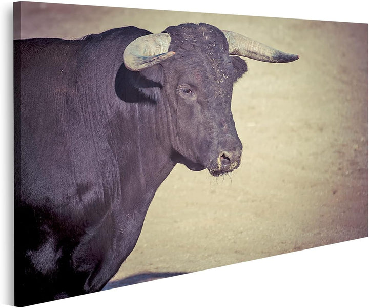 islandburner Bild auf Leinwand Stier Auf Sandboden In Spanien Bilder Wandbilder Poster Leinwand 100x