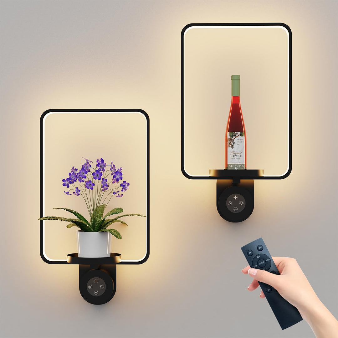 Starxing 2 in 1 Wandpflanzenregal mit Lampe, 8000mAh Bilderrahmen Wandpflanzenhalter, Fernbedienung