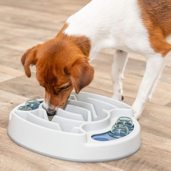 Trixie Strategiespiel, Schieben und Füttern, Puzzle Spielzeug für Anfängerhund, Aktivitäts-Level 1,