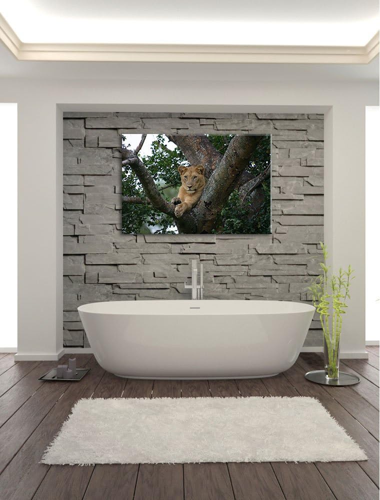 schöne Löwin auf Baum Leinwand, XXL riesige Bilder fertig gerahmt mit Keilrahmen, Kunstdruck auf Wan
