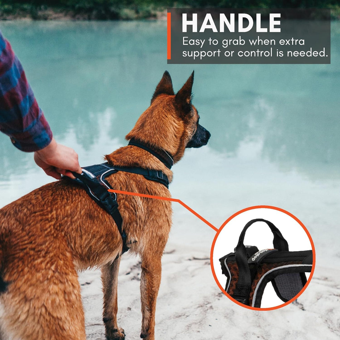 Non-stop dogwear Rock Harness |130| Führ und Alltagsgeschirr, Grösse:XS XS Schwarz, XS Schwarz