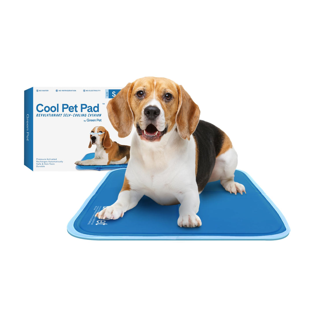 TheGreenPetShop CBROSEY Katzen L 40 x B 30 x H 1 cm Blue, L 40 x B 30 x H 1 cm Blue