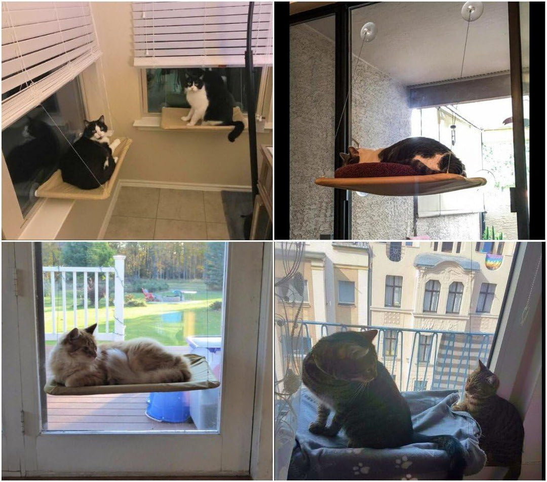 JZK Katzen Fensterplatz Window Lounger Katzen Hängematte + Katzendecke, Sonnenbad Katzenbett Haustie