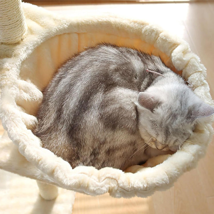 Obelunrp Katze Hängematte 17in Dia..Löffel-Form grosser Katzenbaum Hängematte weich Kratzfeste Baum