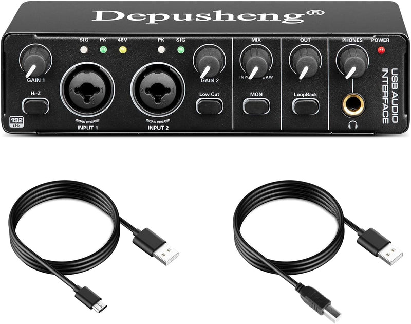 Depusheng RX2 USB Audio Interface Computer Aufnahme Soundkarte Audio Mixer Audio Interface für Home