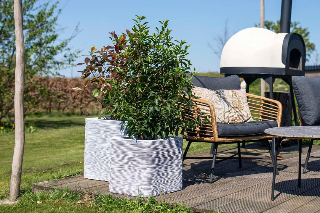 Capi Europe - Blumentopf quadratisch Rib NL - 50x50 - Anthrazit - Öffnung Ø42 - Blumentopf für den I