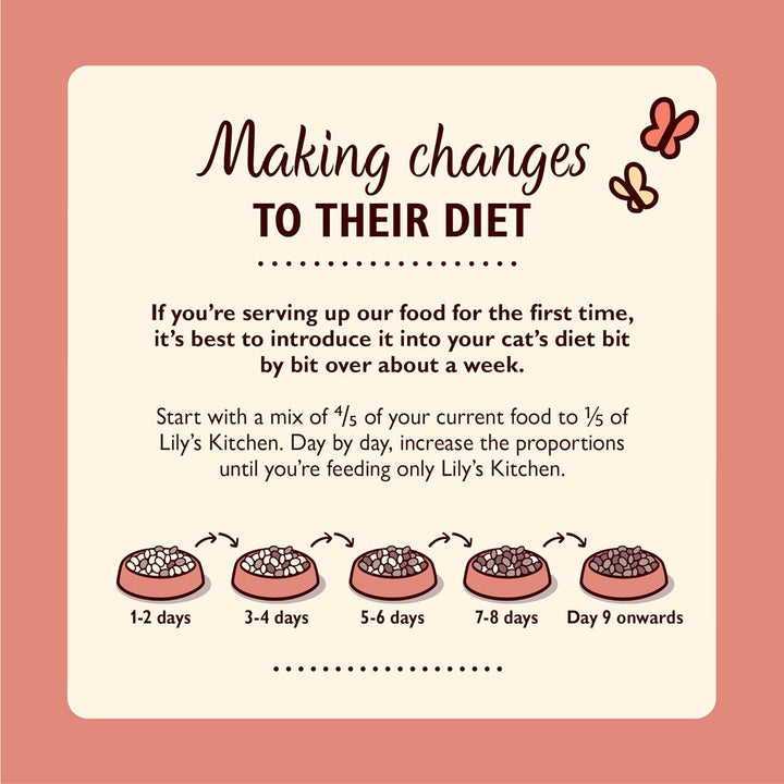 Lily’s Kitchen Vollwertnahrung Nass Katzenfutter für ausgewachsene Katzen 19 Schalen (19 x 85g) Gefl