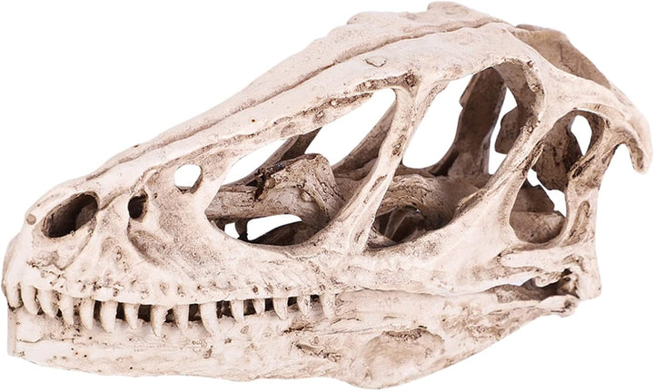 BRRNOO Dinosaurier-Knochen, Dinosaurier-Fossilien, Dinosaurier-Skelette, Modell, Simuliertes Tierske