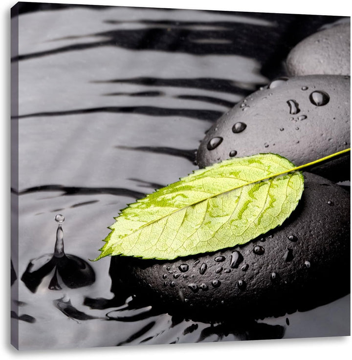 Pixxprint Stein mit Blatt, Format: 70x70 auf Leinwand, XXL riesige Bilder fertig gerahmt mit Keilrah