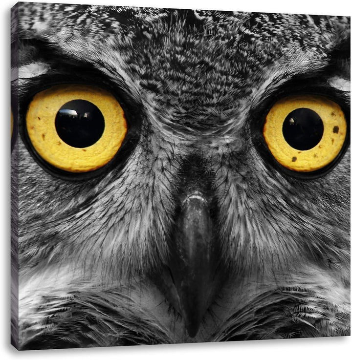Pixxprint Aufgeweckter Uhu als Leinwandbild/Grösse: 70x70 cm/Wandbild/Kunstdruck/fertig bespannt, 70
