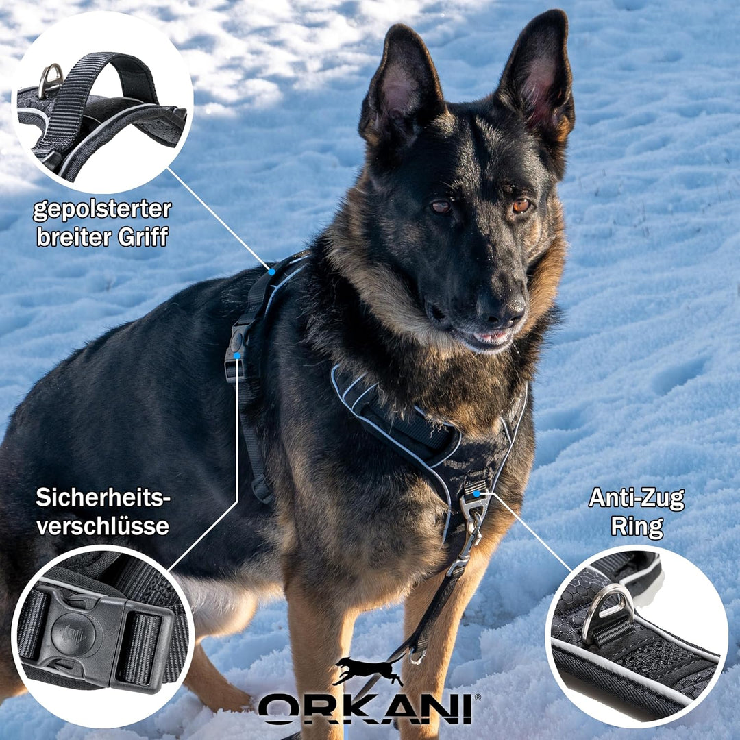 Bravo Hundegeschirr 2025 - Premium No-Pull, Anti-Zug Geschirr, atmungsaktiv, weich gepolstert mit Si