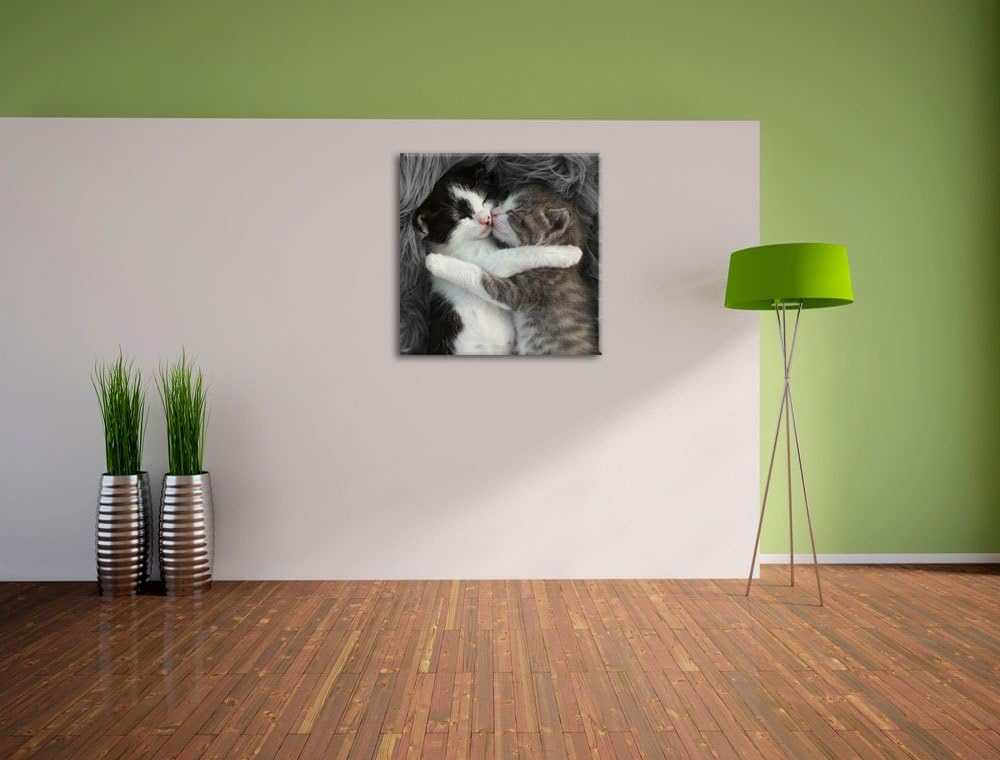 Pixxprint Zwei kuschelnde Kätzchen als Leinwandbild | Grösse: 70x70 cm | Wandbild | Kunstdruck | fer