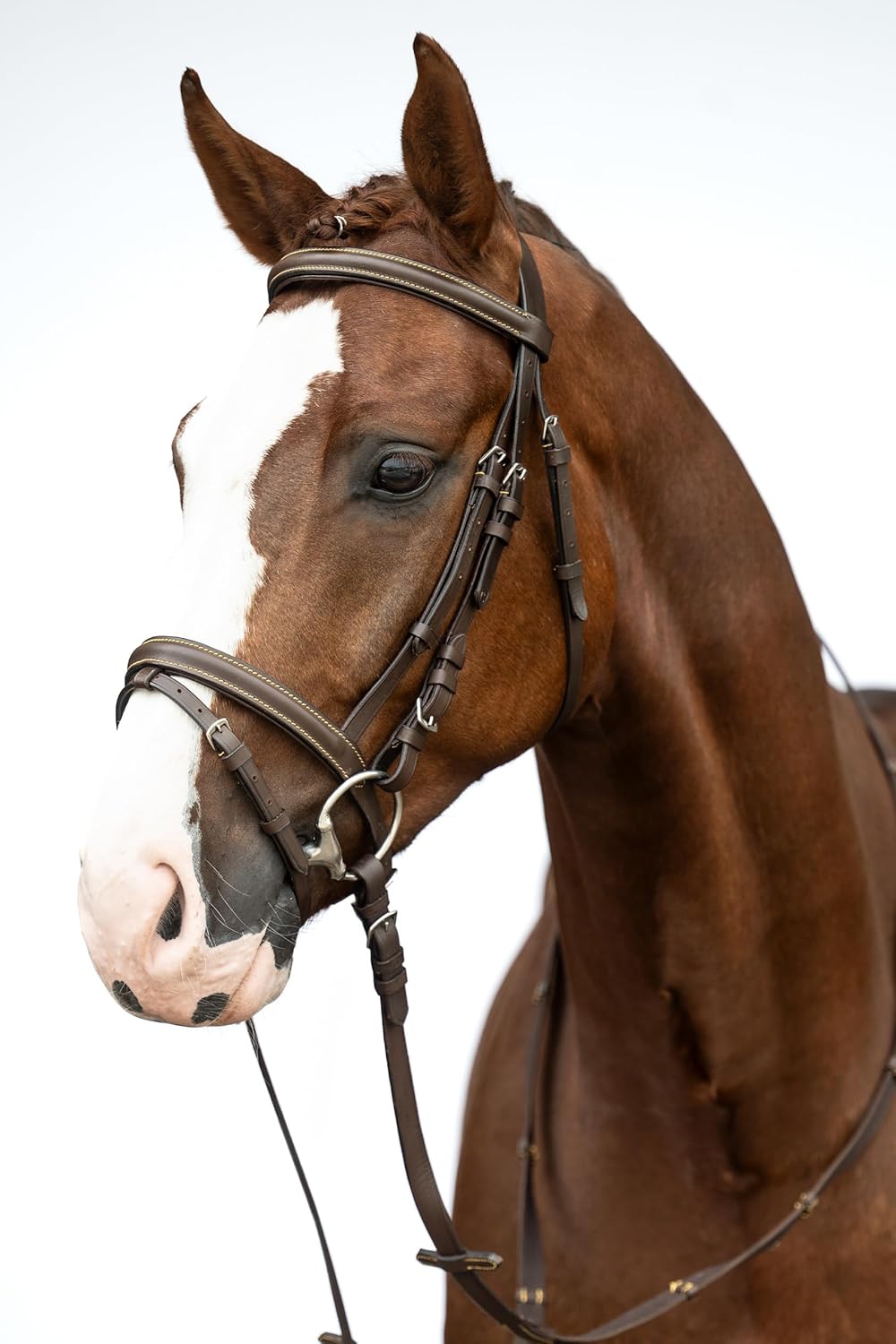 HKM Trensenzaum Lou braun Pony braun S, braun S