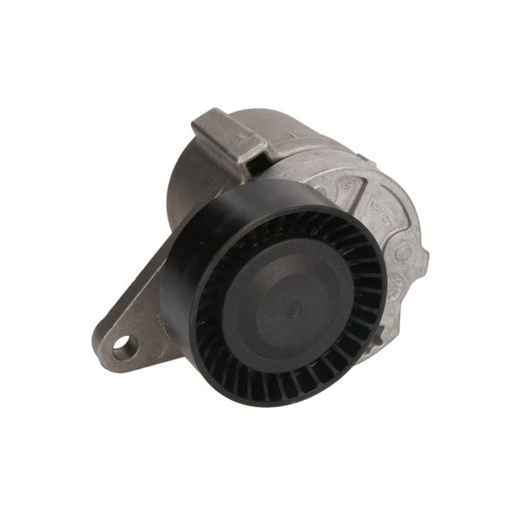 SNR GA36531 Spannrolle, Keilrippenriemen