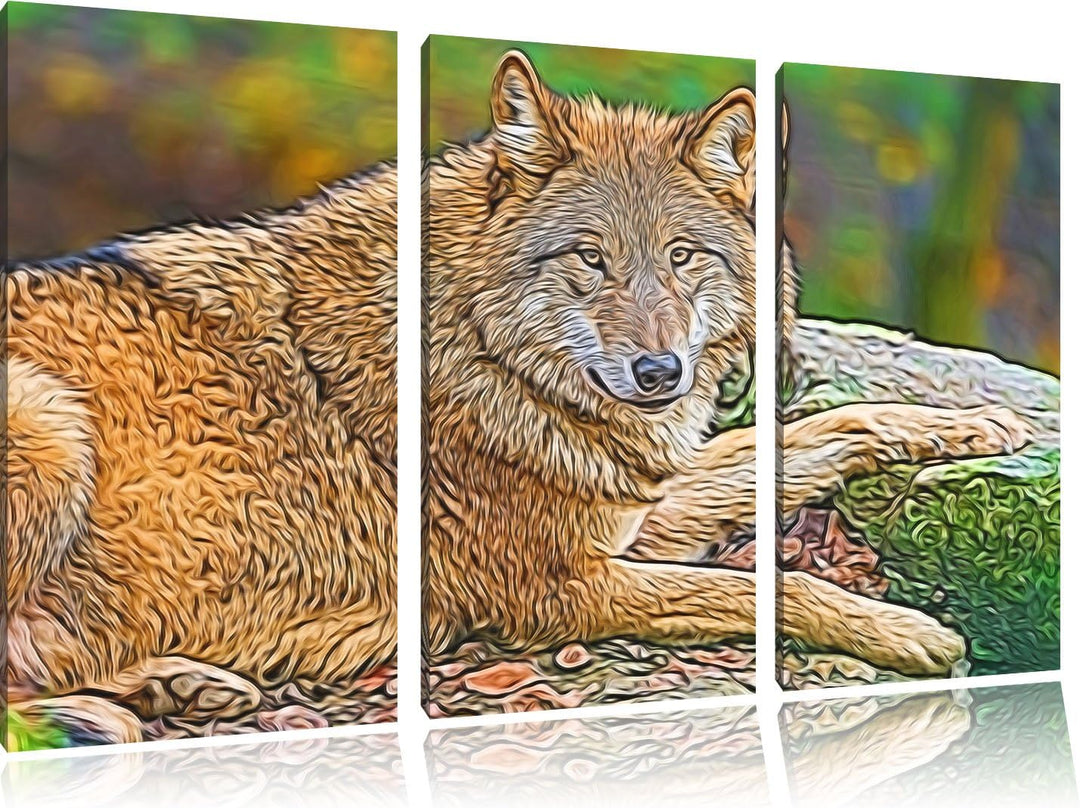 stolzer Wolf auf Stein Spezial 3-Teiler Leinwandbild 120x80 Bild auf Leinwand, XXL riesige Bilder fe