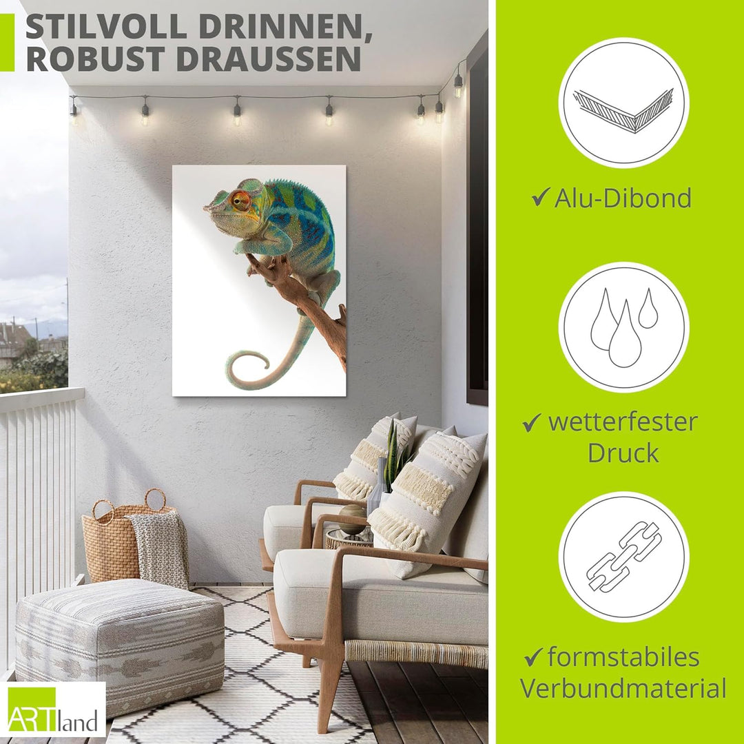 ARTland Wanddeko Wandbild Alu Verbundplatte für Innen & Outdoor Bild 60x80 cm Tiere Reptilien Chamäl