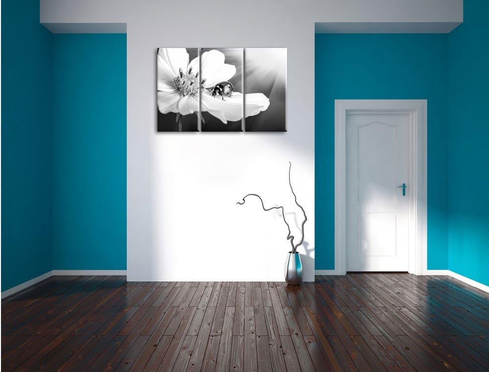 Pixxprint Marienkäfer auf Einer Blume / 3-Teilig/Gesamtmass 120cm Leinwandbild bespannt auf Holzrahm
