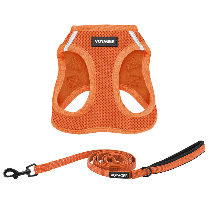 Best Pet Supplies Voyager Step-in Air Allwetter-Mesh-Geschirr und reflektierende Hundeleine, Kombina