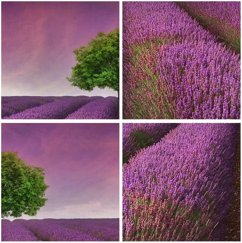 Bilder auf Leinwand 100x70cm Leinwandbild Wiese lavenda Sommer Landschaft Gross Wanddeko Bild Schlaf