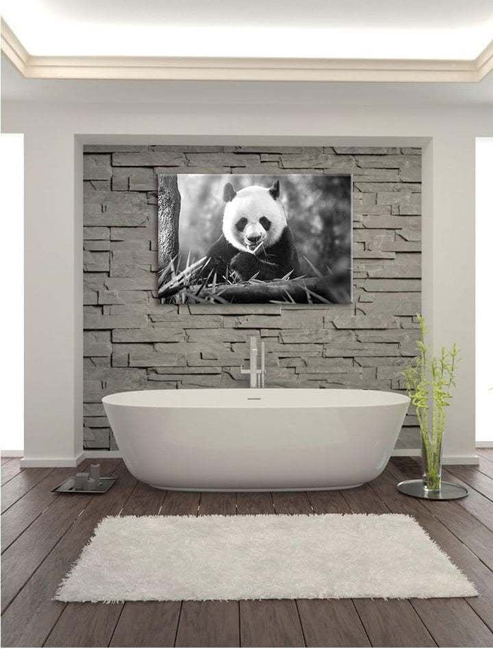 Pixxprint Panda isst Bambus als Leinwandbild/Grösse: 100x70 / Wandbild/Kunstdruck/fertig bespannt, 1