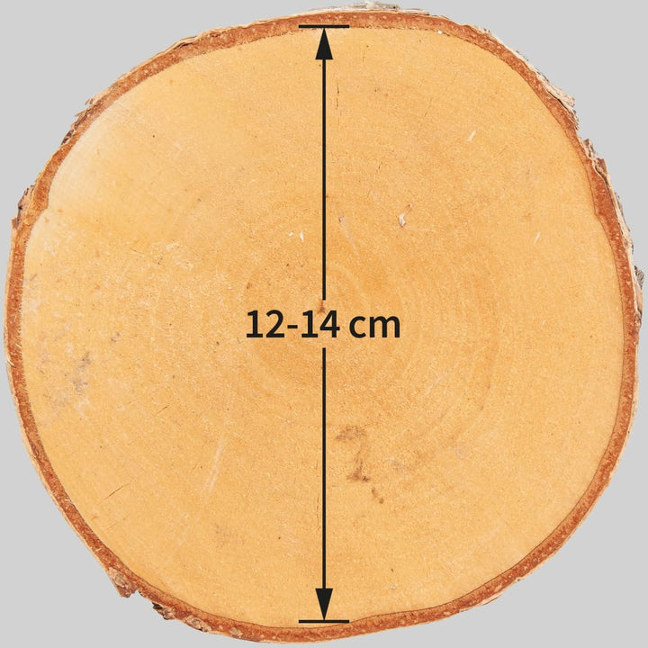 Kleine Holzscheiben 12 cm zum Holz-Deko Basteln - 20 Stk. runde EU Birkenholz Baumscheiben 20 Ø 12 -