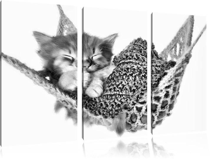 Pixxprint Monocrome, Schlafendes Katzenbaby in Hängematte 3-Teiler Leinwandbild 120x80 Bild auf Lein