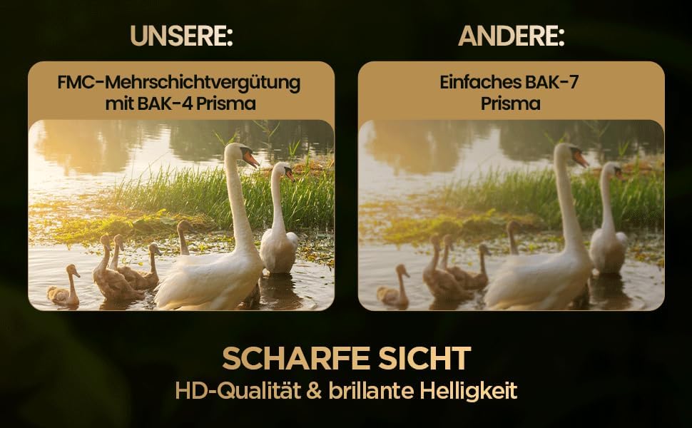 Fernglas 10x42 für Erwachsene – HD BAK4 Prisma, FMC Mehrschichtvergütung, Wasserdicht IPX7 &amp; Beschla