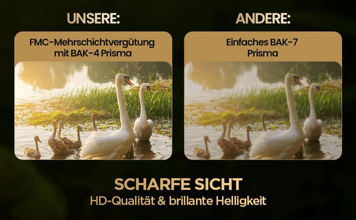Fernglas 10x42 für Erwachsene – HD BAK4 Prisma, FMC Mehrschichtvergütung, Wasserdicht IPX7 &amp; Beschla