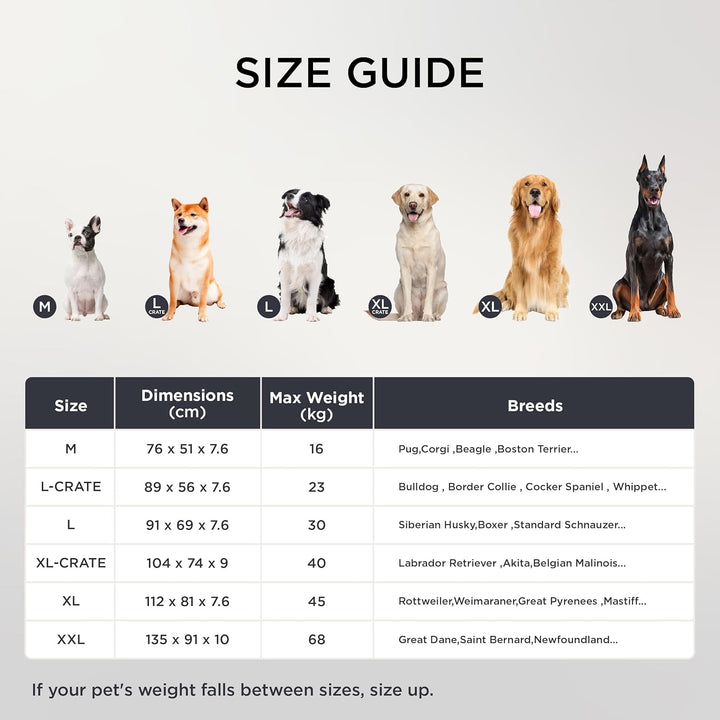 BEDSURE orthopädisches Hundebett mittelgrosse Hunde - 91x69x7.6cm Hundekissen flauschig Hundematte w