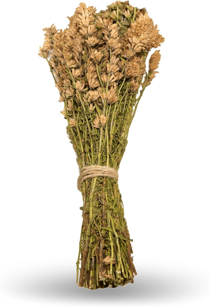 Sauna Relax – Beruhigend | 5er-Set getrocknete Sauna-Kräutersträusse (Melisse, Kamille, Herzgespann,