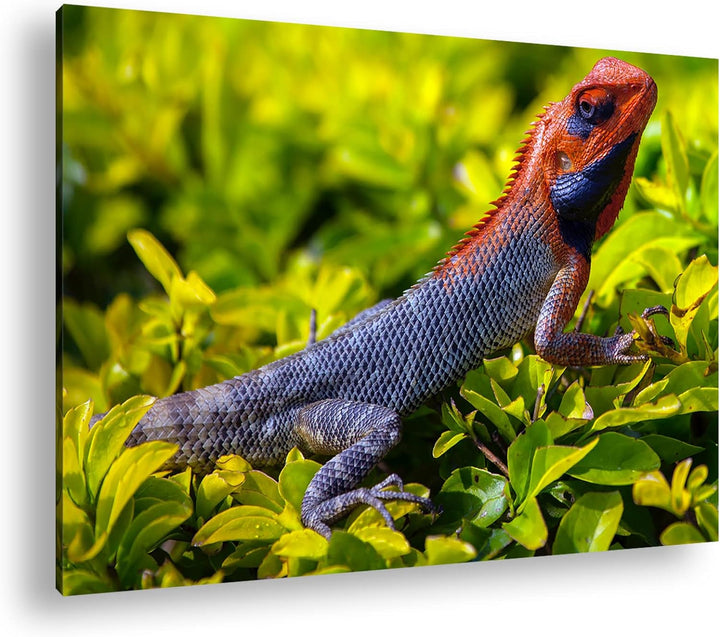 deyoli farbige Schuppen eines Reptil Format: 120x80 als Leinwandbild, Motiv fertig gerahmt auf Echth