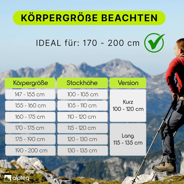 Wanderstöcke faltbar Carbon oder Aluminium mit Korkgriff | Bergsport Trekkingstöcke | Nordic Walking