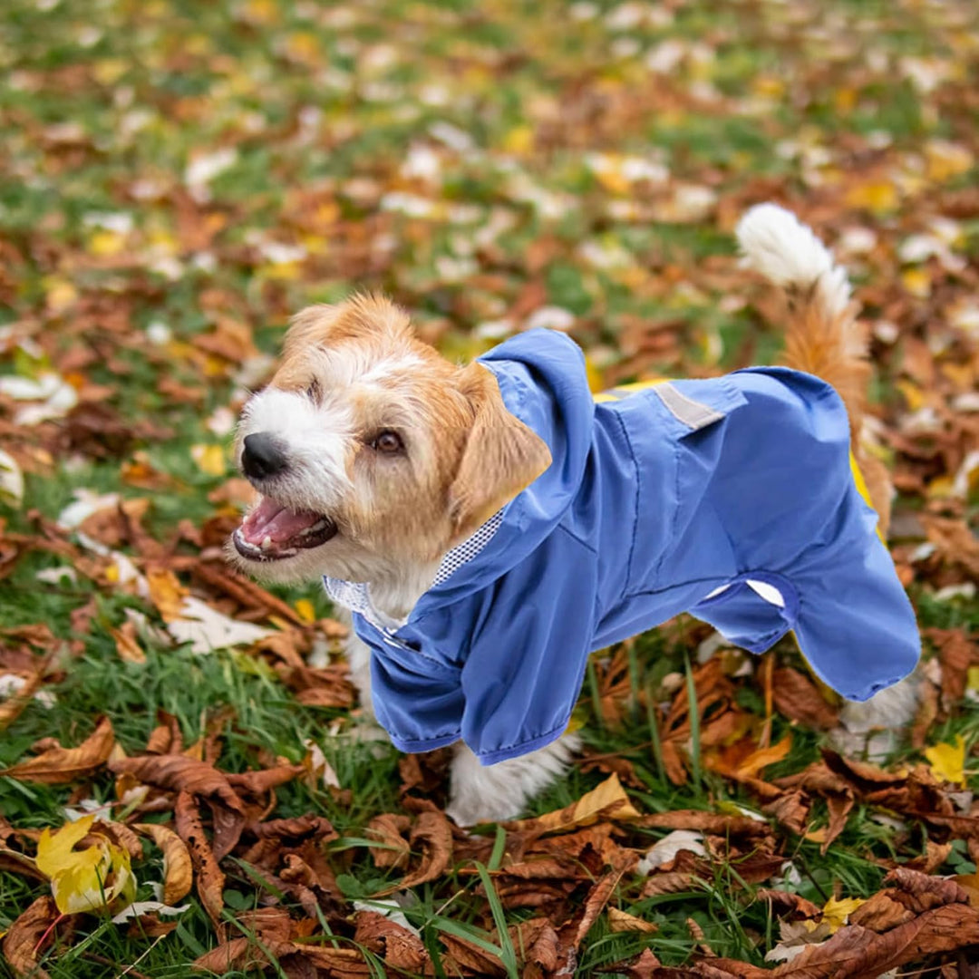 Regenmantel für Hunde Mit Kapuze - Verstellbar, für Unterschiedliche Grössen und Formen (Blau)