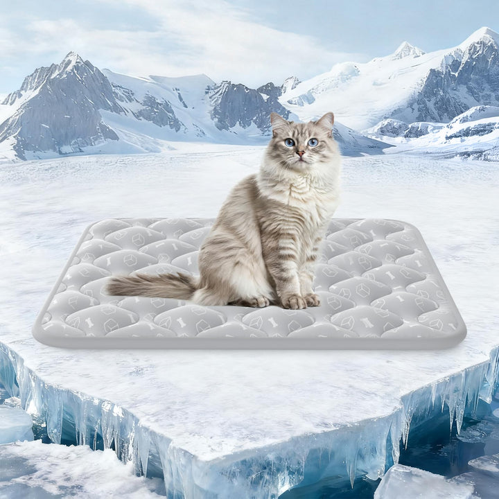Rywell Kühlmatte für Hunde Katze 60x45 cm, Plus Version, Selbstkühlend mit Arc-Chill-Gewebe, Verdick
