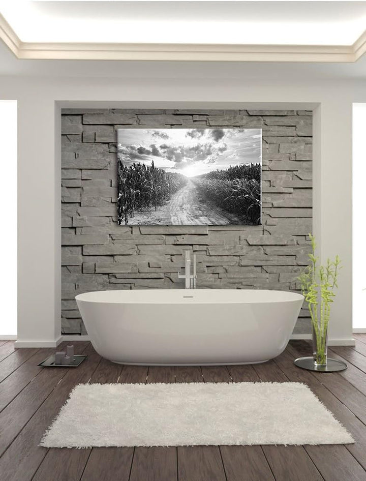 Pixxprint Pfad durch sonniges Feld Kunst B&W als Leinwandbild/Grösse: 100x70 cm/Wandbild/Kunstdruck/